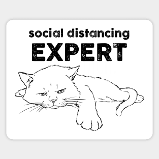 Funny Social Distancing Cat, Quarantine Cat, Antisocial Sticker